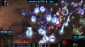 中国星际争霸爆料视频完整版,中国电竞战队备战新篇章 第2张 中国星际争霸爆料视频完整版,中国电竞战队备战新篇章 第2张